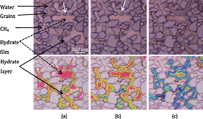 Growth Patterns During Methane Hydrate Formation